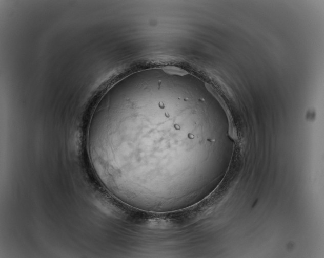 X0000101210591200807071341