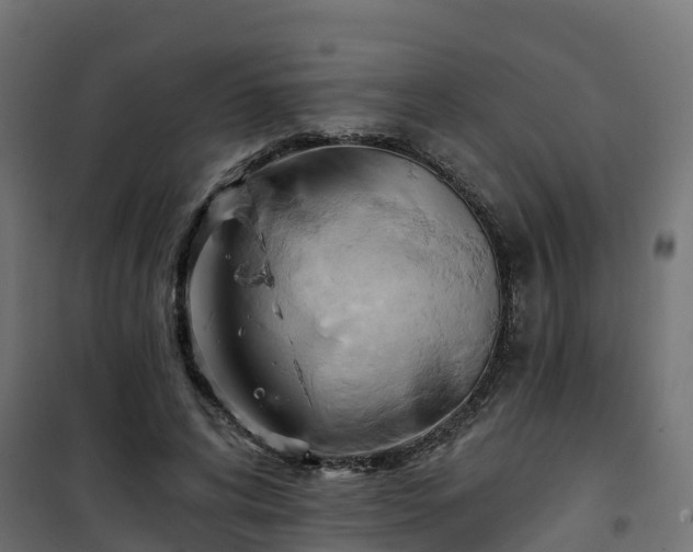 X0000101210592200807071341