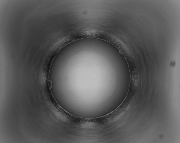 X0000101210593200807071341