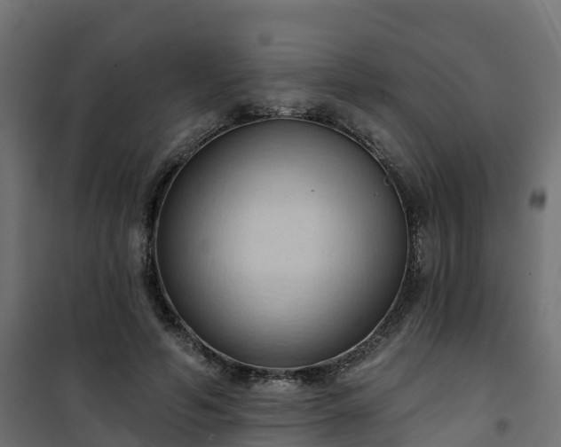 X0000101210594200807071341