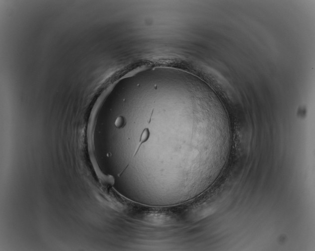 X0000101210596200807071341