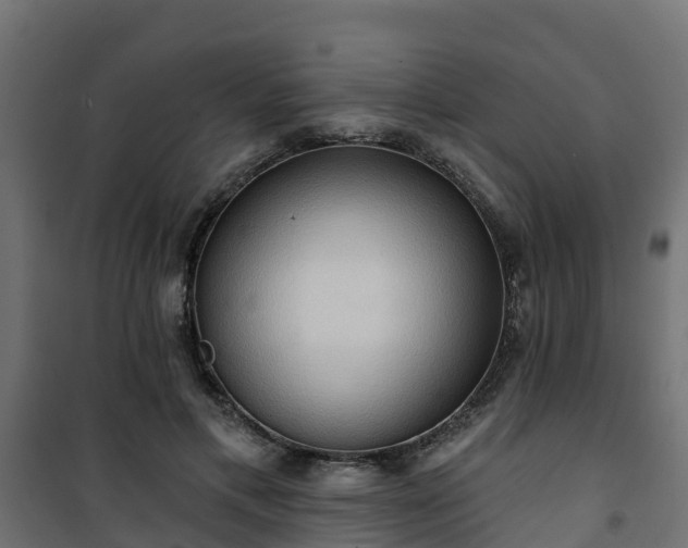 X0000101210597200807071341