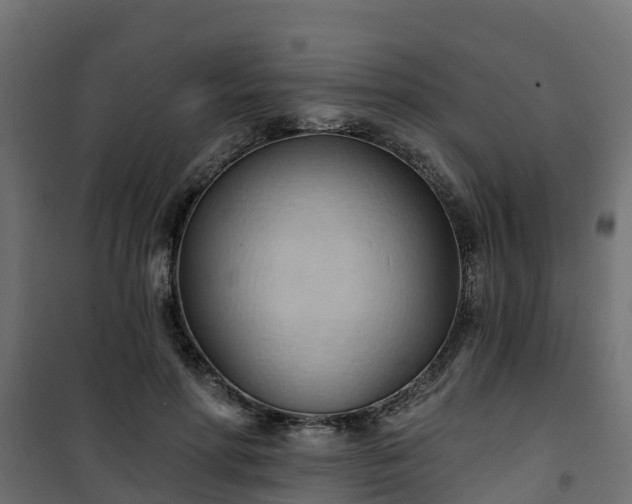 X0000101210598200807071341