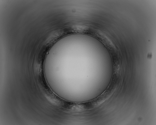 X0000101210599200807071341