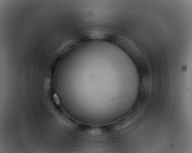 X0000101210600200807071341