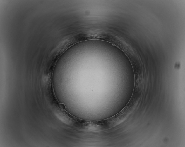 X0000101210601200807071341