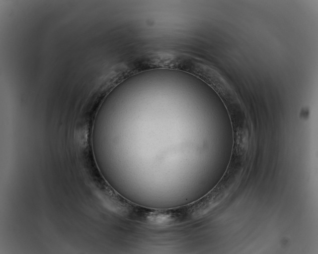 X0000101210602200807071341