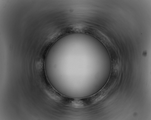 X0000101210603200807071341