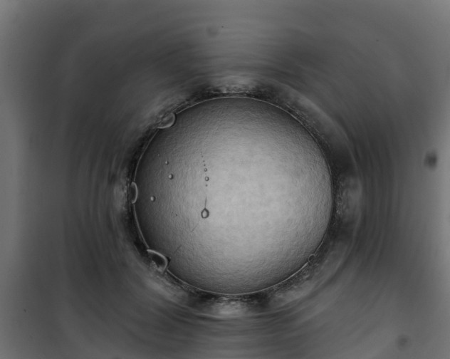 X0000101210604200807071340