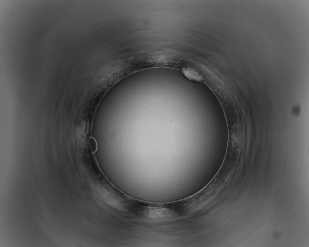 X0000101210605200807071340