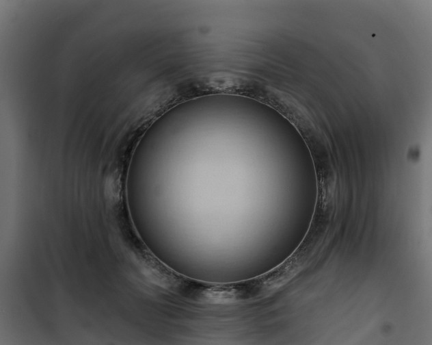 X0000101210606200807071340