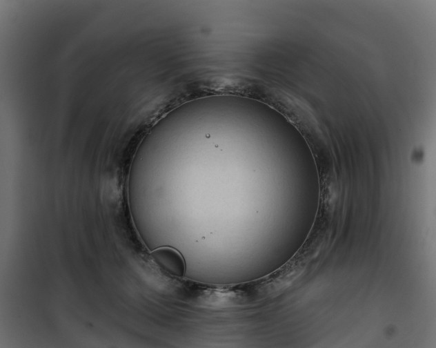 X0000101210607200807071340