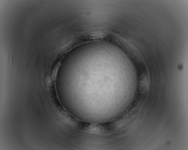 X0000101210608200807071340