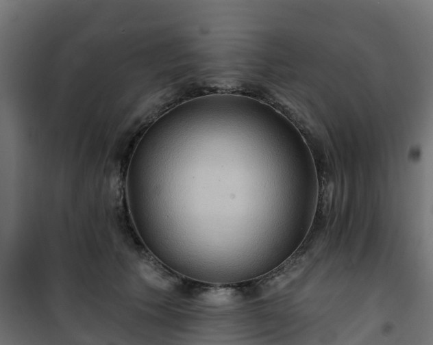 X0000101210609200807071340