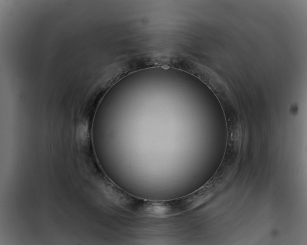 X0000101210610200807071340