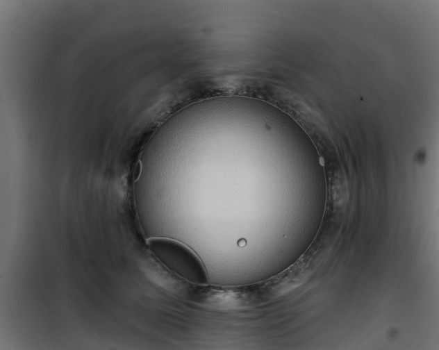 X0000101210611200807071340