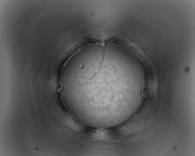 X0000101210612200807071340