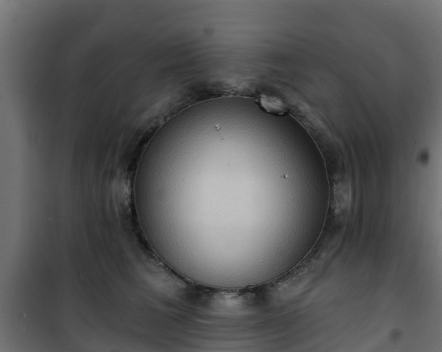 X0000101210613200807071340