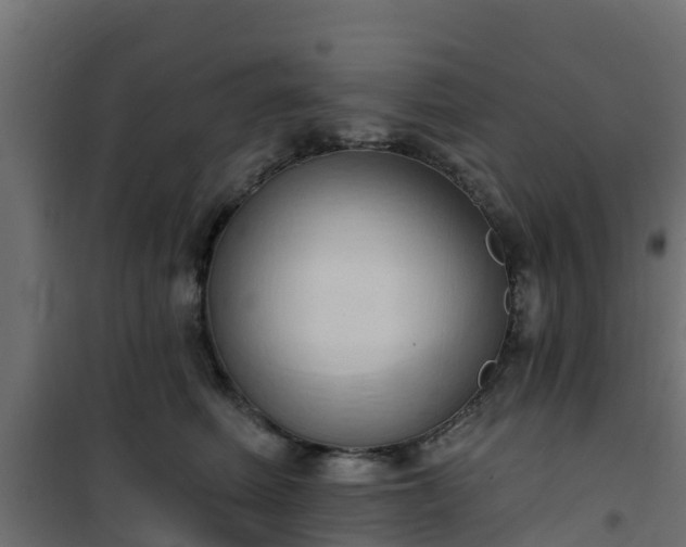 X0000101210614200807071340