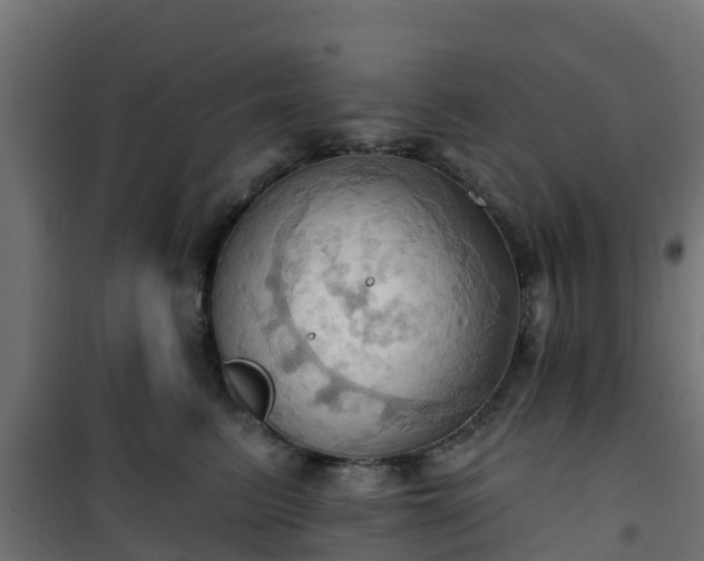 X0000101210615200807071340