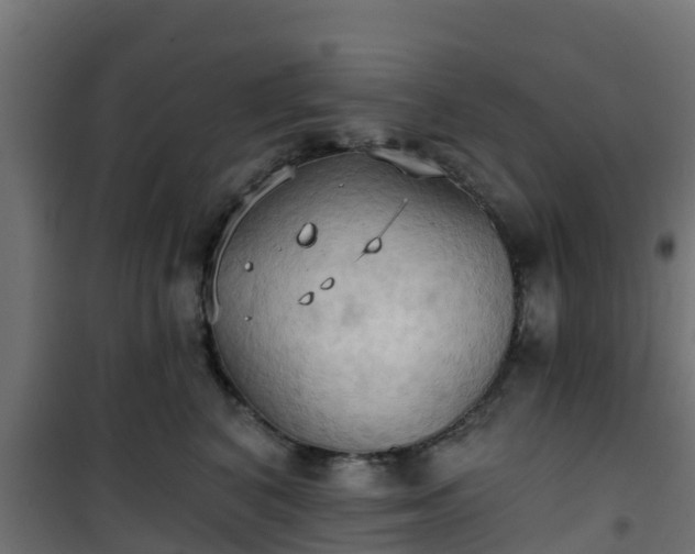 X0000101210616200807071340