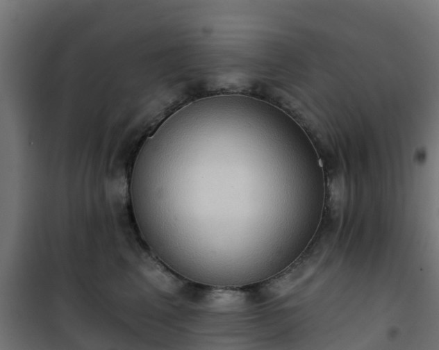 X0000101210617200807071340