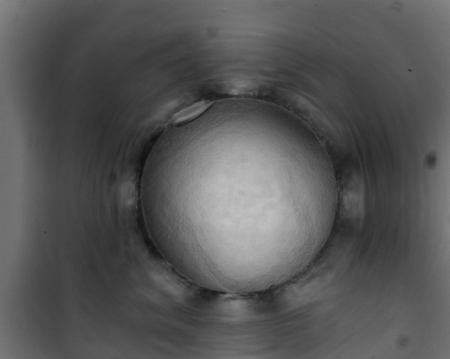 X0000101210620200807071340