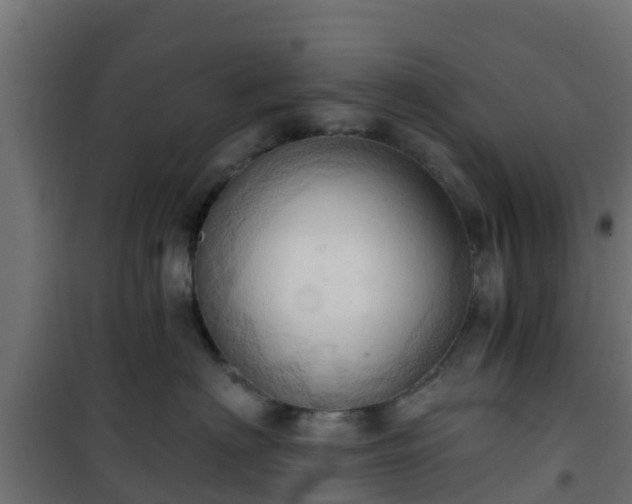 X0000101210622200807071340