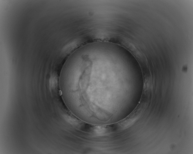 X0000101210623200807071340