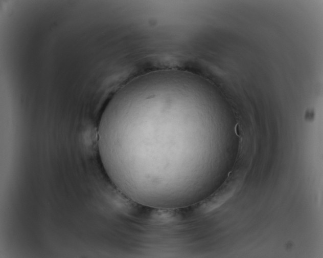 X0000101210624200807071340