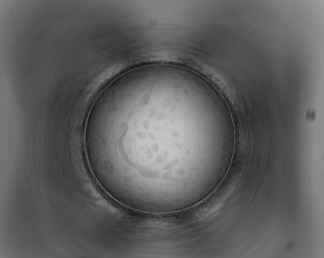 X0000101210625200807071339