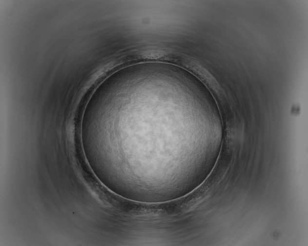 X0000101210626200807071339