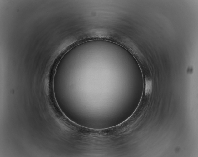 X0000101210627200807071339