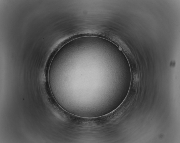 X0000101210628200807071339