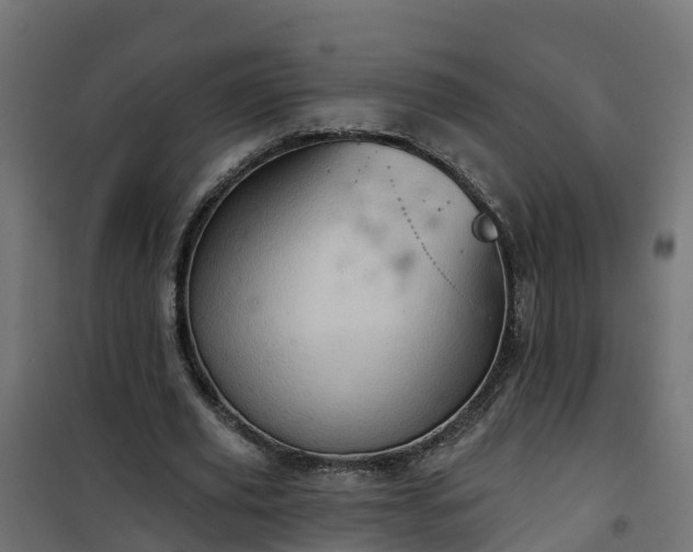 X0000101210629200807071340