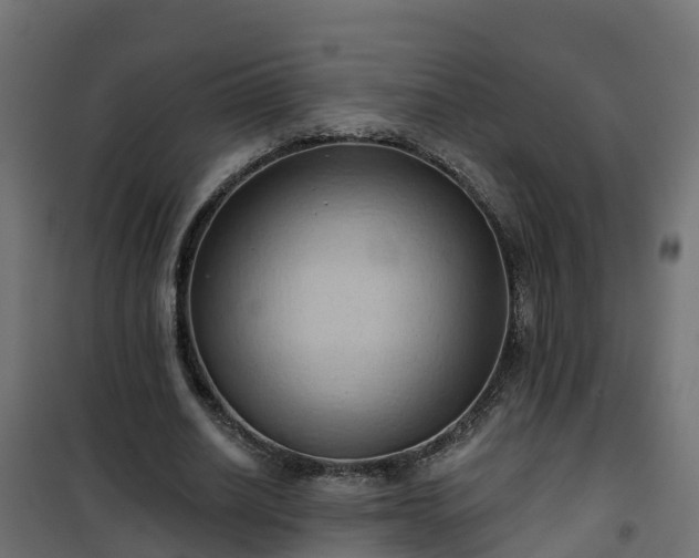 X0000101210630200807071340