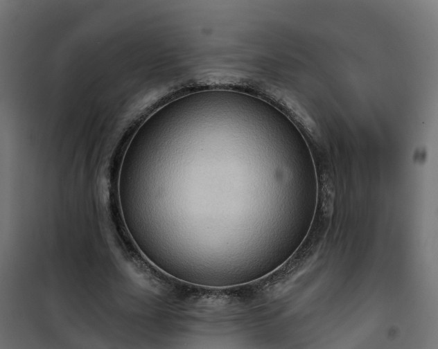 X0000101210631200807071340