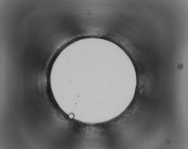 X0000101210632200807071340