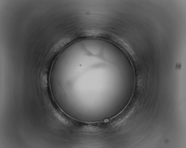 X0000101210633200807071340