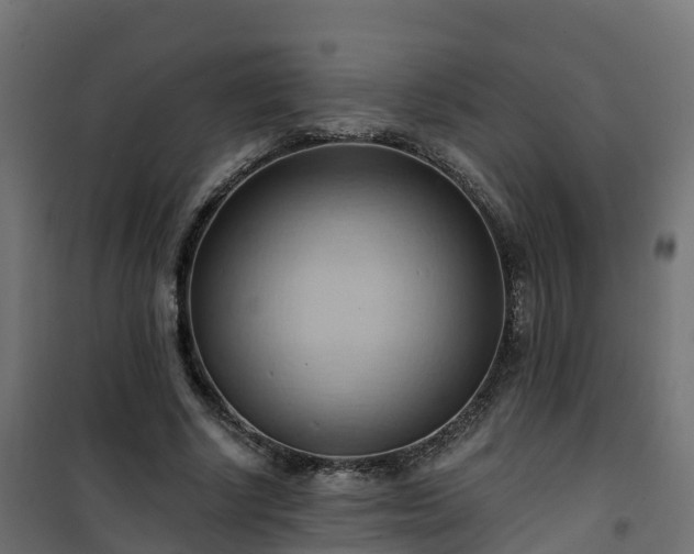 X0000101210634200807071340