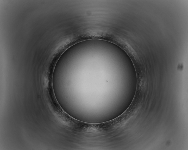 X0000101210635200807071340