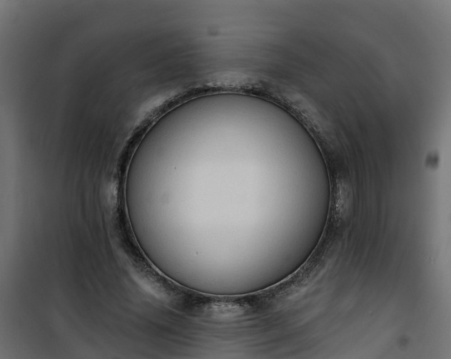 X0000101210636200807071340