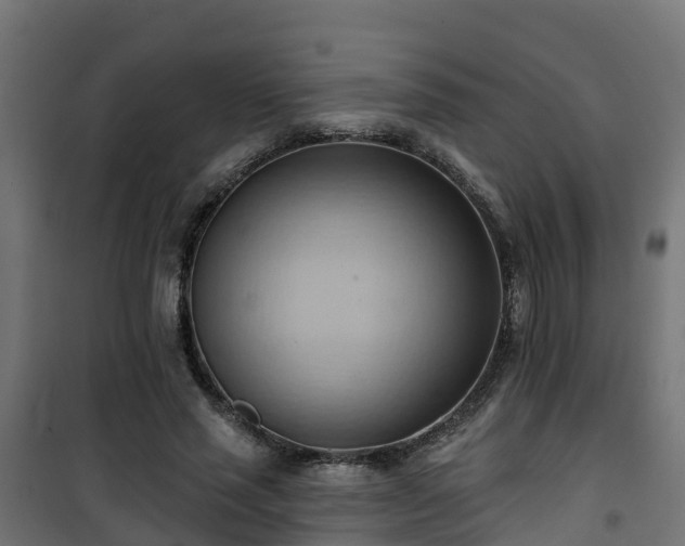 X0000101210637200807071340