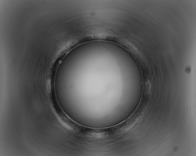 X0000101210638200807071340