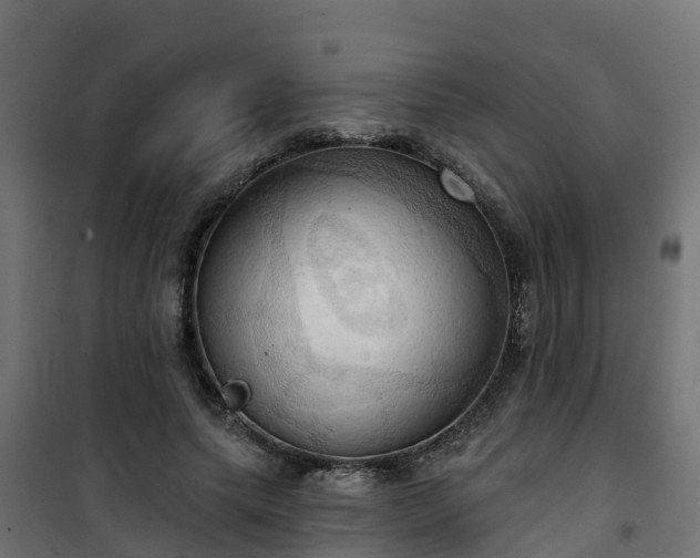 X0000101210639200807071340