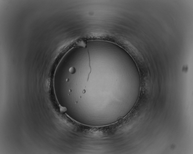 X0000101210640200807071340