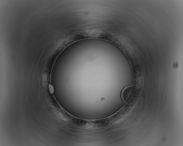 X0000101210641200807071340