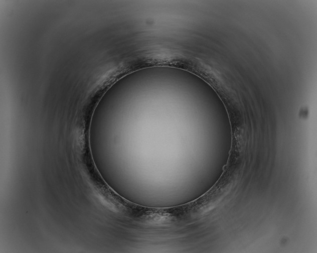 X0000101210642200807071340