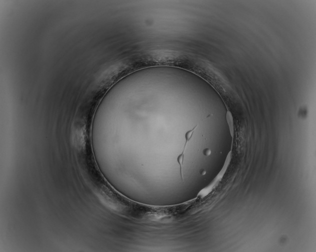 X0000101210644200807071340