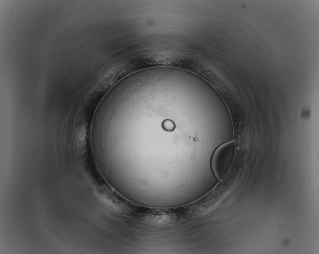 X0000101210646200807071340